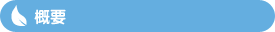概要